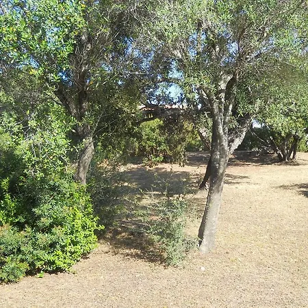 Lu Impostu Dom wakacyjny San Teodoro (Sardinia)